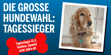 HW_Tagessieger_Konsole_V2.png