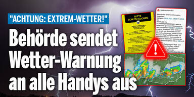 Handywarnung_Konsole.jpg