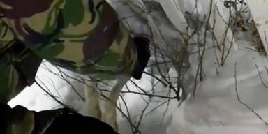 Hase Zaun gefroren Kasachstan
