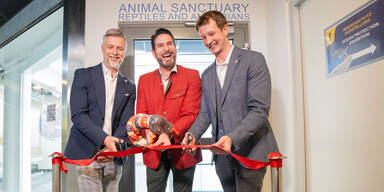 Haus des Meeres: Exoten-Tierheim öffnet seine Pforten 