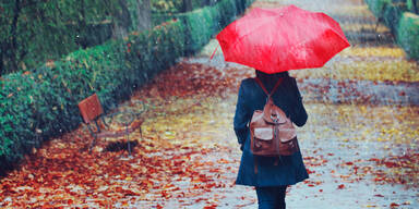 Herbst Regen