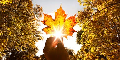 Wieder sonniger: Herbst spielt diese Woche alle Stückerl