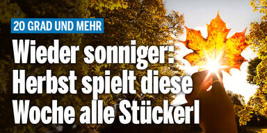 Herbstsonne_Konsole.jpg