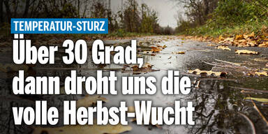 Herbstwucht_Konsole.jpg