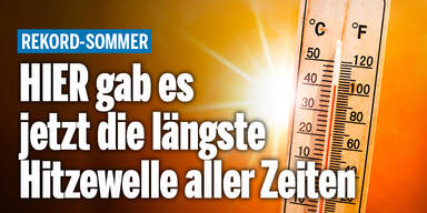 Hitzewelle_Rekord_Konsole.jpg