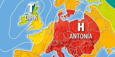 Hoch_antonia.jpg