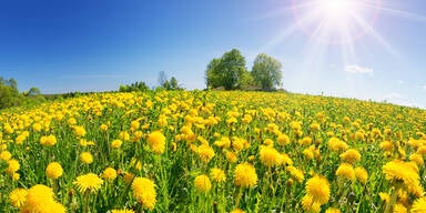Hoch in Sicht: SO geht der Sommer jetzt doch in die Verlängerung