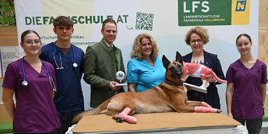 Auf du und du mit unseren tierischen Freunden