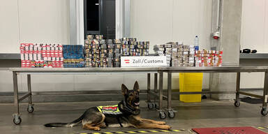 Zoll beschlagnahmte 4.714 illegale Feuerwerkskörper