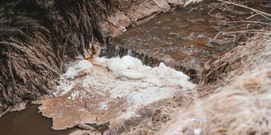 So verschmutzt ist das Wasser aktuell im Nationalpark Thayatal-Podyjí