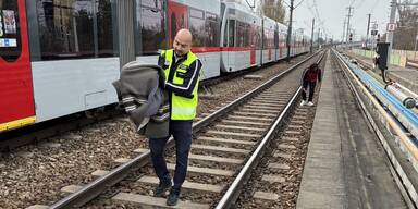 Kurioser Einsatz: Schwan machte es sich auf U6-Gleisen gemütlich