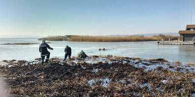 Eisläufer Rettung Neusiedlersee