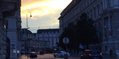 IMG_2837.jpg