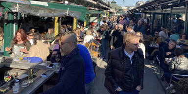 Frühing im Februar Wien 