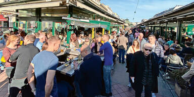Frühing im Februar Wien 