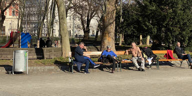 Frühing im Februar Wien 