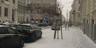 IMG_9853.jpg