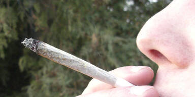 Cannabis kommt jetzt legal in die Trafiken