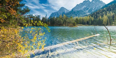 Alarm um Kärntens Seen: Wasserqualität immer schlechter