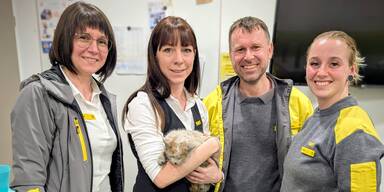 Gelbe Engel retten verletzten Kater aus gefährlicher Auto-Falle