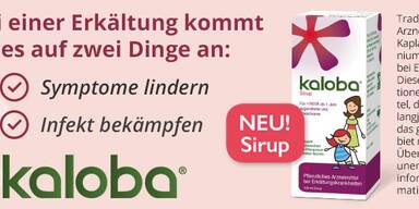 Konsole_wetter_960x290.jpg