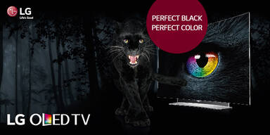 LG_OLED_TV_OE24_Ad_620x310.jpg