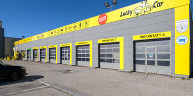 Lucky Car gibt weiter Gas: Jubel über 15 Prozent Wachstum