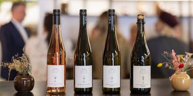 Mayer Alkoholfrei Wein