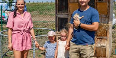  Meister Lampe hoppelt durch Niederösterreich