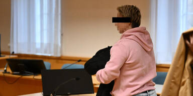 Mutter tote Buben Brand Drogenrausch Krems