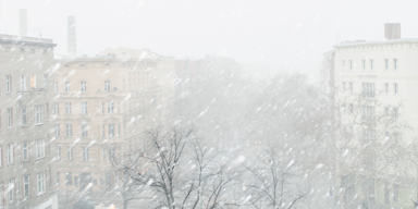 Neuschnee_Header.png