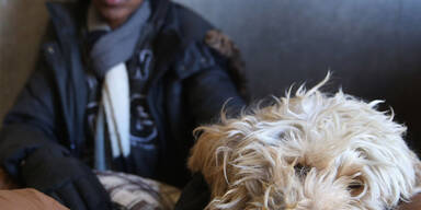 Obdachlos3.jpg
