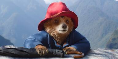 Paddington Bär bremst „Brutalist“ und Kidman aus