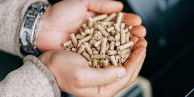 Größter Preisanstieg bei Pellets