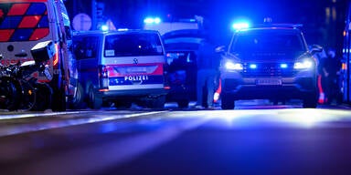 Raser ohne Führerschein rammt Polizeiauto