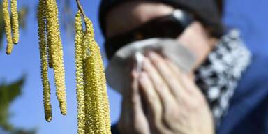 Milde Temperaturen lassen Pollen steigen