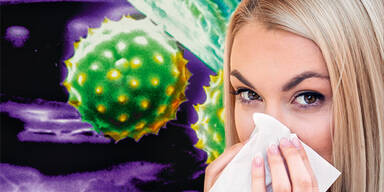 Pollen_310.jpg