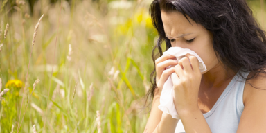 Pollen_Header.png