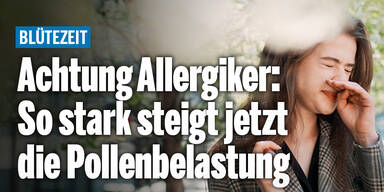 Pollen_Konsole.jpg