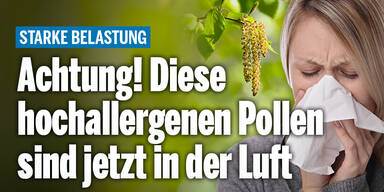 Pollen_Konsole.jpg