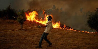 Waldbrand Portugal