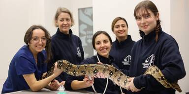 Haus des Meeres eröffnet Spezialpraxis für exotische Tiere