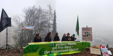 Pressekonferenz gegen Baumfällungen 
