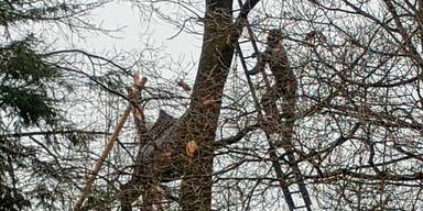 Protestcamp wurde geräumt.jpg