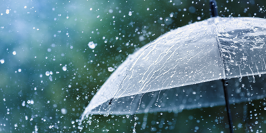 Regenfront_Header.png