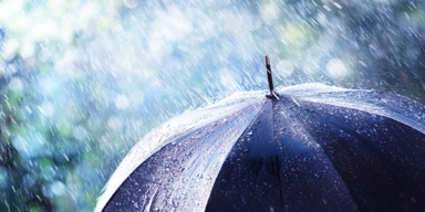 Regenwalze_Header.png