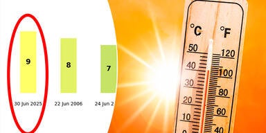 Rekord_Header.jpg
