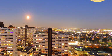René-Tajoburg-Alt-Erlaa.jpg