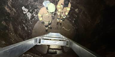 Seit Tagen verschwunden: Kater aus Siloschacht gerettet