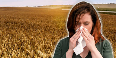 Pollen-Alarm! DARAUF müssen Allergiker jetzt unbedingt achten